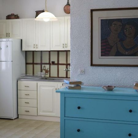 Lefkada Beachfront Apartment Nikiana Zewnętrze zdjęcie